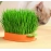 Lightweight Easy To Use Large-capacity Chassis Household Cat Plant Pot Home Use Cat Grass Box Wheatgrass Planter Tray