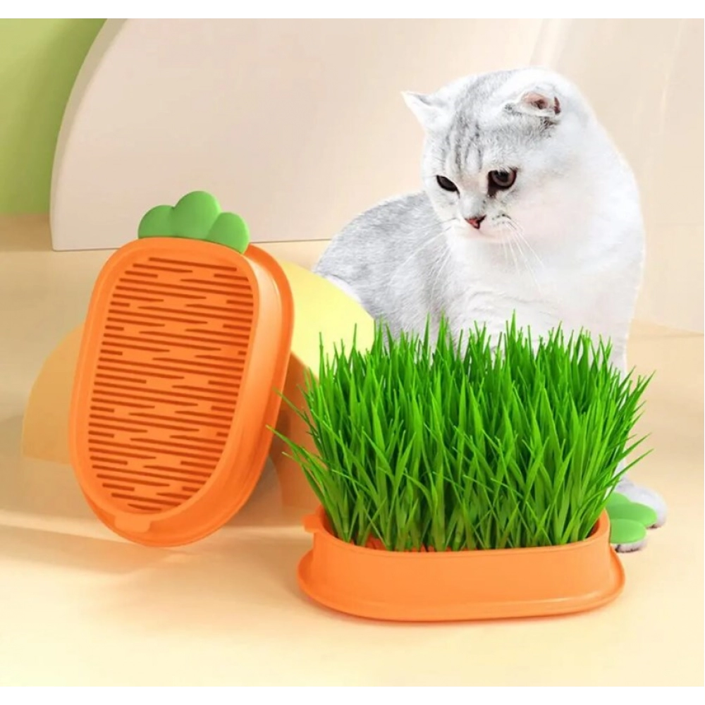 Lightweight Easy To Use Large-capacity Chassis Household Cat Plant Pot Home Use Cat Grass Box Wheatgrass Planter Tray