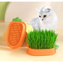 Lightweight Easy To Use Large-capacity Chassis Household Cat Plant Pot Home Use Cat Grass Box Wheatgrass Planter Tray