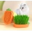 Lightweight Easy To Use Large-capacity Chassis Household Cat Plant Pot Home Use Cat Grass Box Wheatgrass Planter Tray